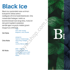 Black Ice 220 ml.
